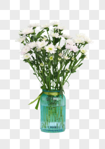 花瓶瓶中洁白花朵高清图片