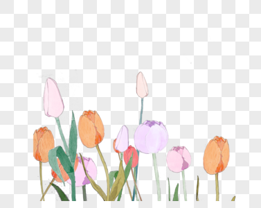 手绘郁金香水彩花卉元素高清图片
