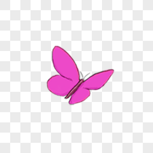 粉红色的蝴蝶图片