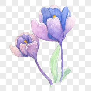 粉蓝色花朵粉蓝色边框高清图片