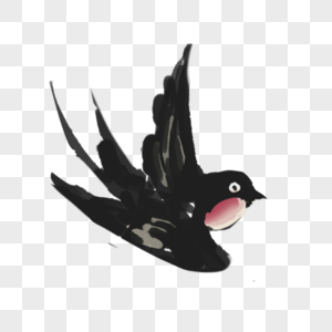 春天的燕子黑白燕子高清图片