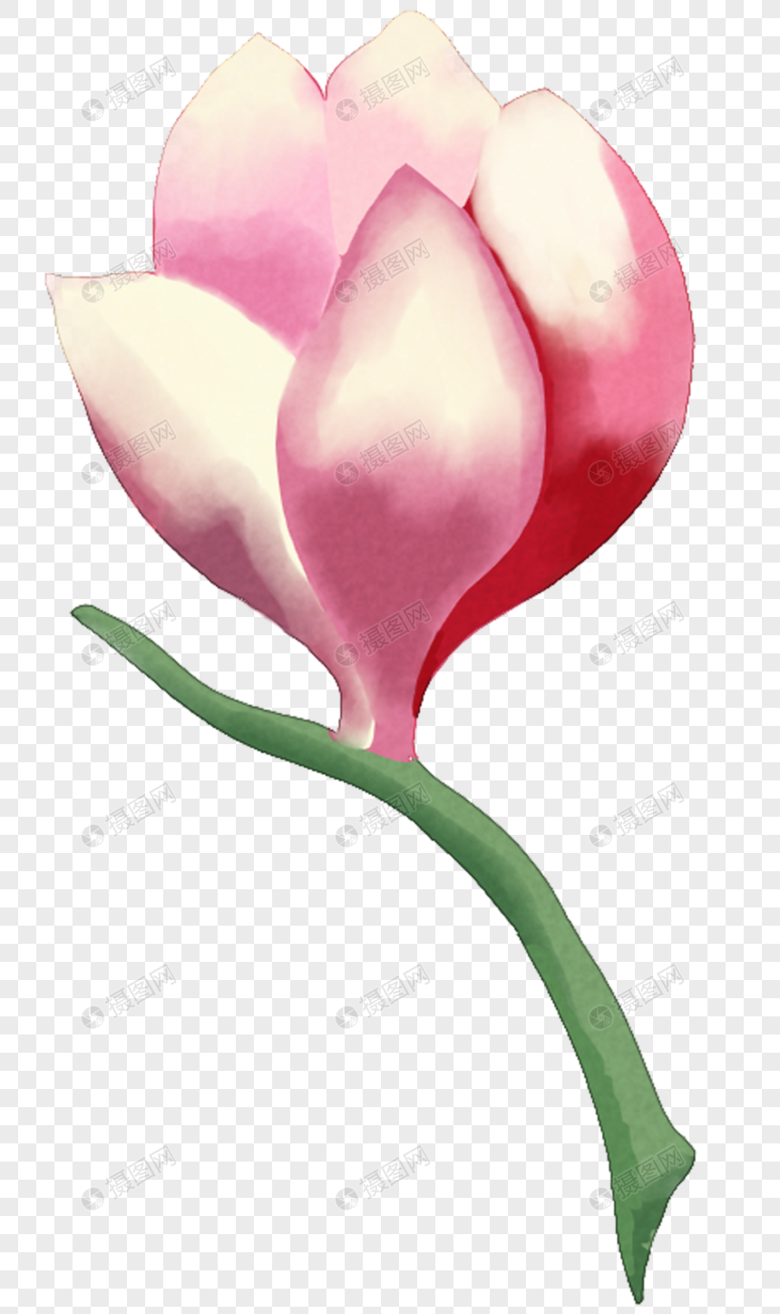 卡通花朵