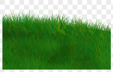 绿色草丛图片