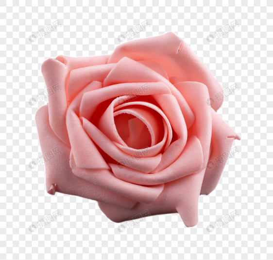 粉色月季花花朵免抠图元素
