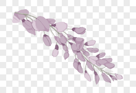 紫色小花紫色水彩花朵高清图片
