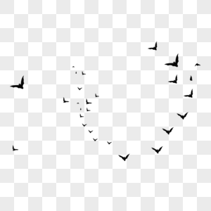 蝙蝠漂浮飞舞燕子高清图片