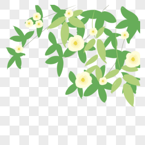 植物花卉枝条白花高清图片