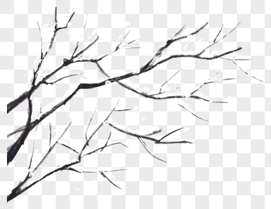 落雪的树枝图片