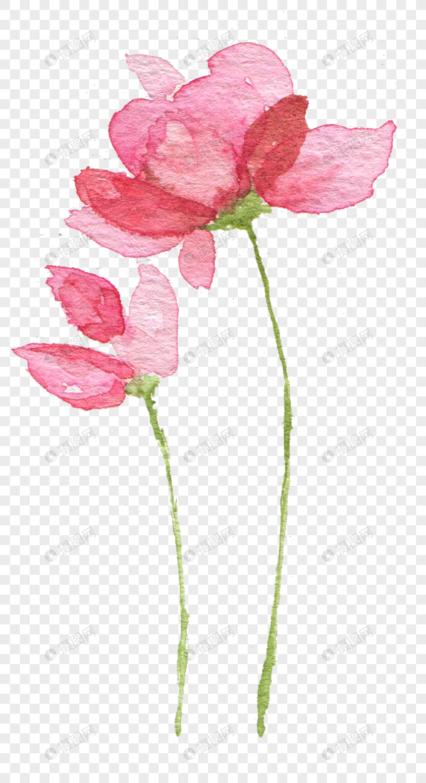 粉色的水彩花卉素材元素图片