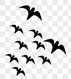 蝙蝠群飞着的蝙蝠高清图片