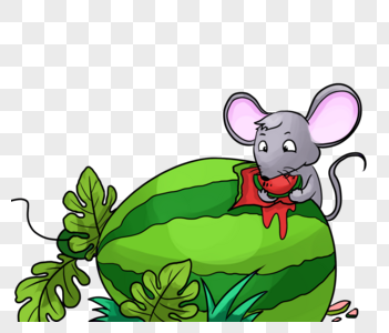 吃西瓜的老鼠图片