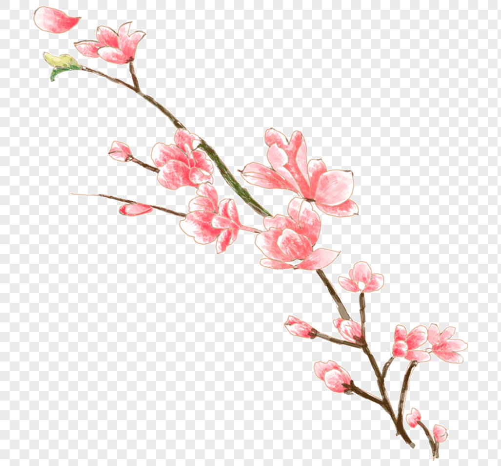 手绘花枝