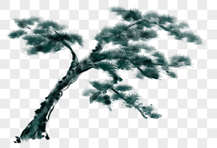 松树素材松树高清图片