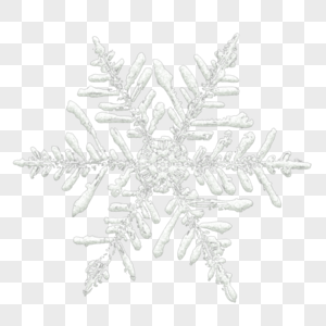 雪花雪花插画高清图片