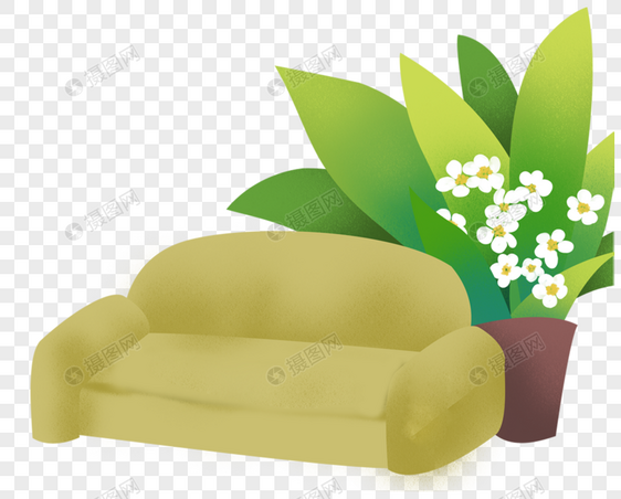 沙发盆栽图片