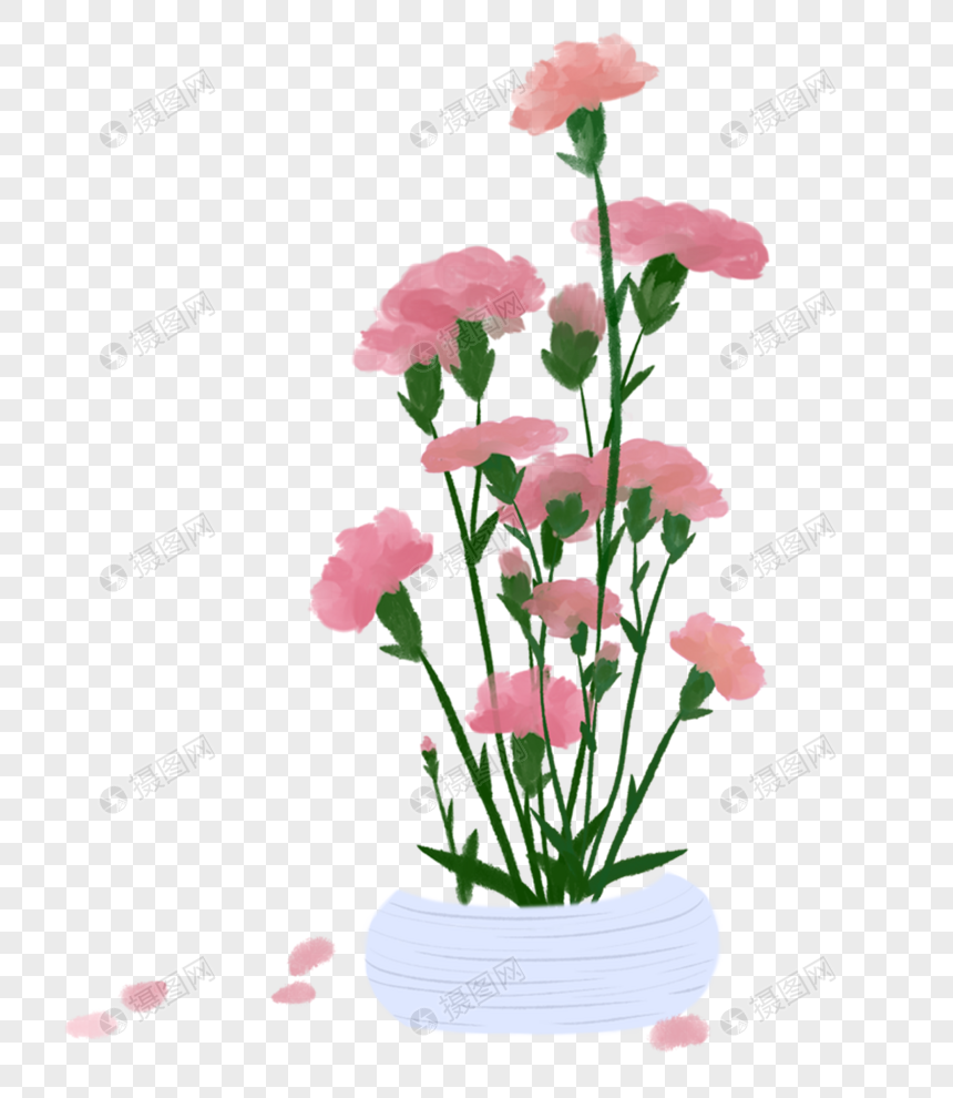 花瓶康乃馨图片