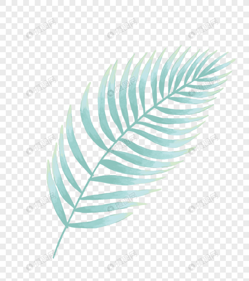 ins风热带叶子元素素材png格式_设计素材免费