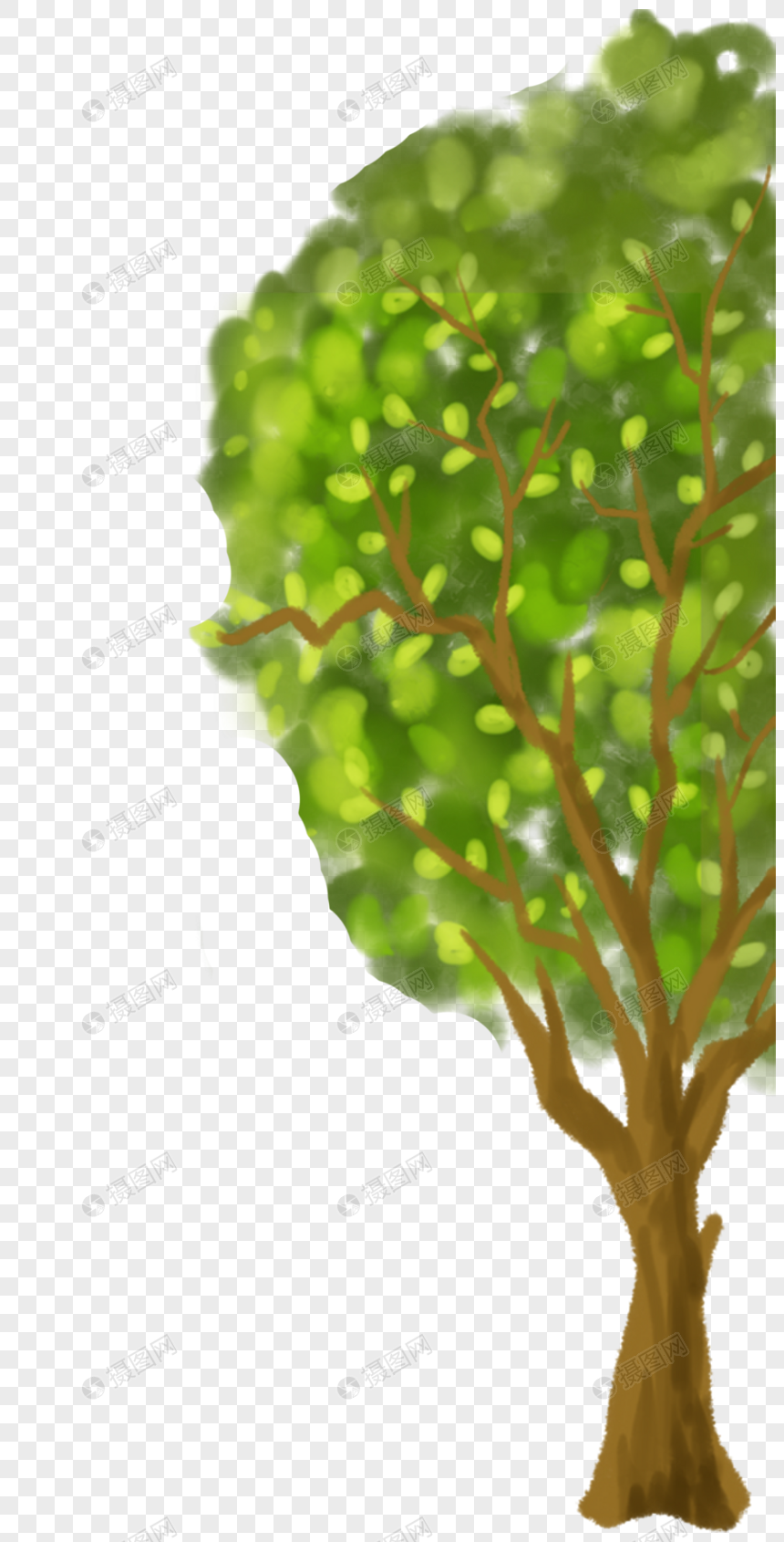 绿色的大树图片