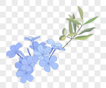 蓝色的花枝蓝色树叶高清图片