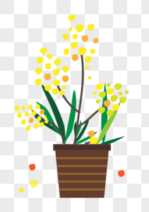 黄色的 花黄色花盆盆栽高清图片