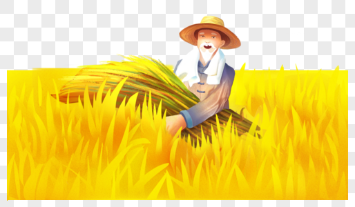 农民收稻子图片