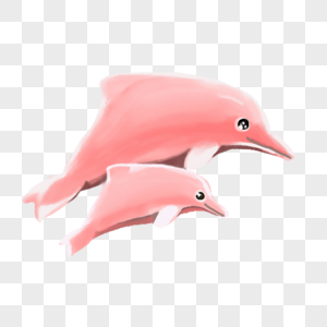 粉色的海豚 母子图片