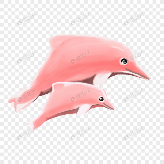 粉色的海豚 母子