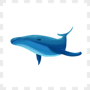 蓝色的鲸鱼图片