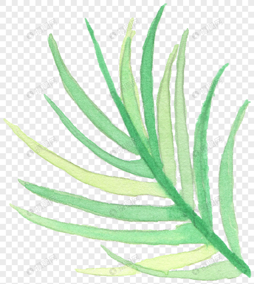 水彩手绘植物素材图片