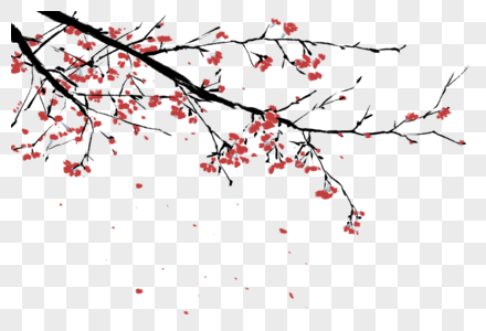 梅花树飘落枝桠高清图片
