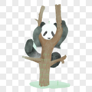 爬上树杈的熊猫图片