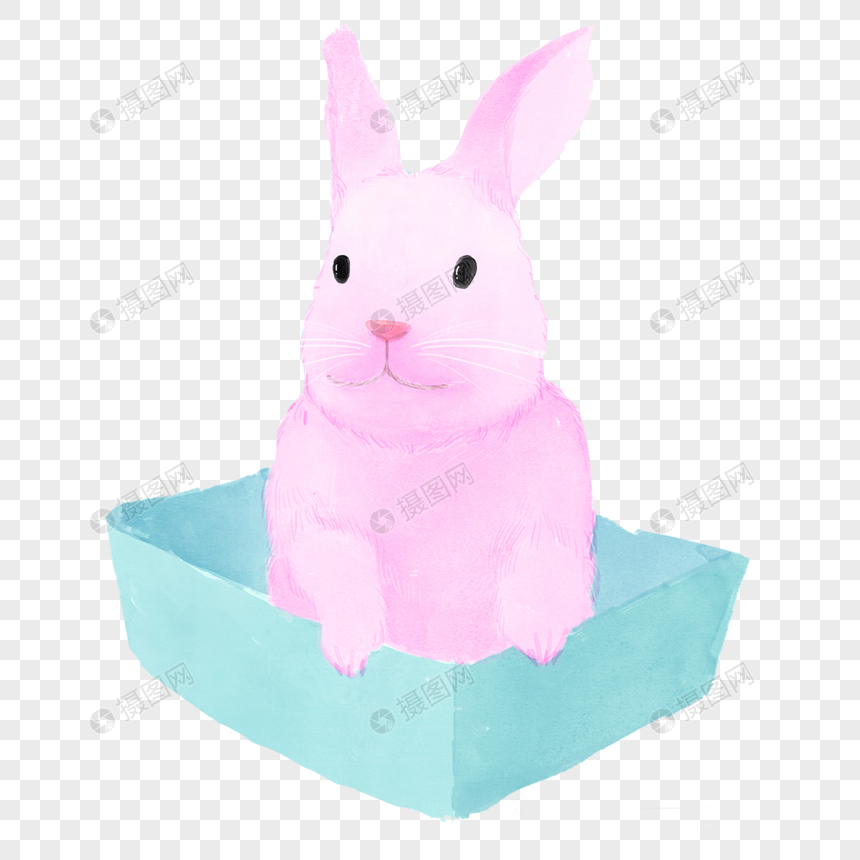盒子里的粉色小兔图片