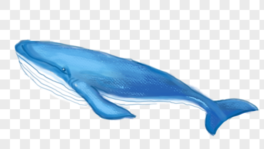 蓝色大鲸鱼图片