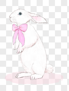 粉色蝴蝶结兔子图片