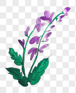手绘紫色花紫色花元素高清图片