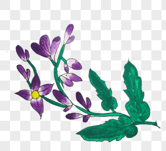 手绘紫色花卉图片