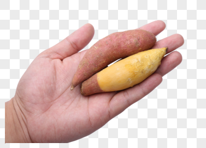 红薯漳州六鳌红薯高清图片