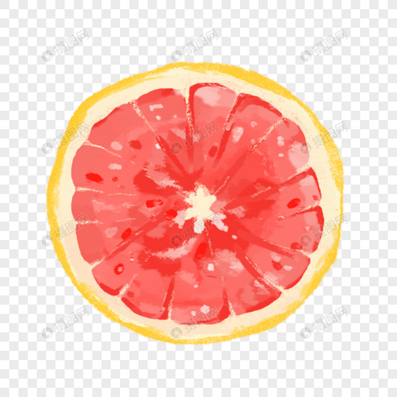 手绘西柚