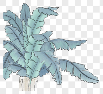 工笔画叶子芭蕉素材