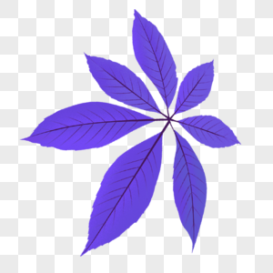 紫色树叶图片