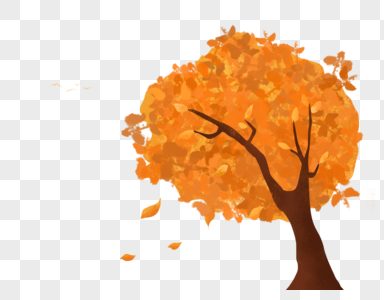 秋天的树枫叶手绘高清图片