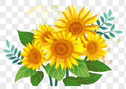 向日葵花束花草竖素材高清图片