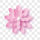 立体粉色装饰花朵图片