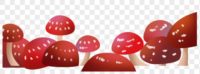 蘑菇丛图片