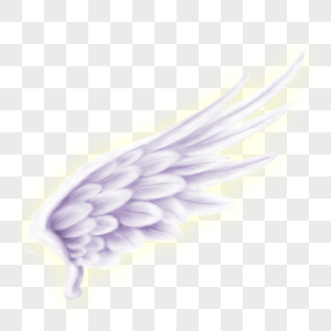 天使的翅膀导入翅膀素材高清图片
