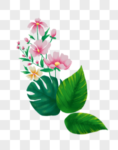 植物花卉png元素图片