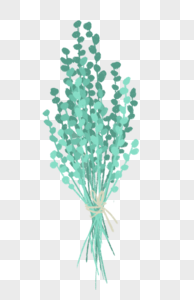 小清新绿色植物花束图片