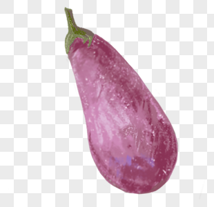 手绘紫茄子图片