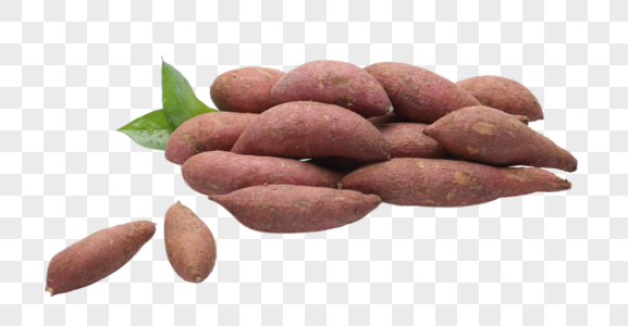 红薯红薯棚拍漳州图片素材