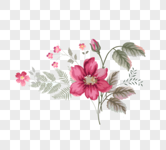 蔷薇花背景图片 蔷薇花背景素材 蔷薇花背景模板下载 摄图网